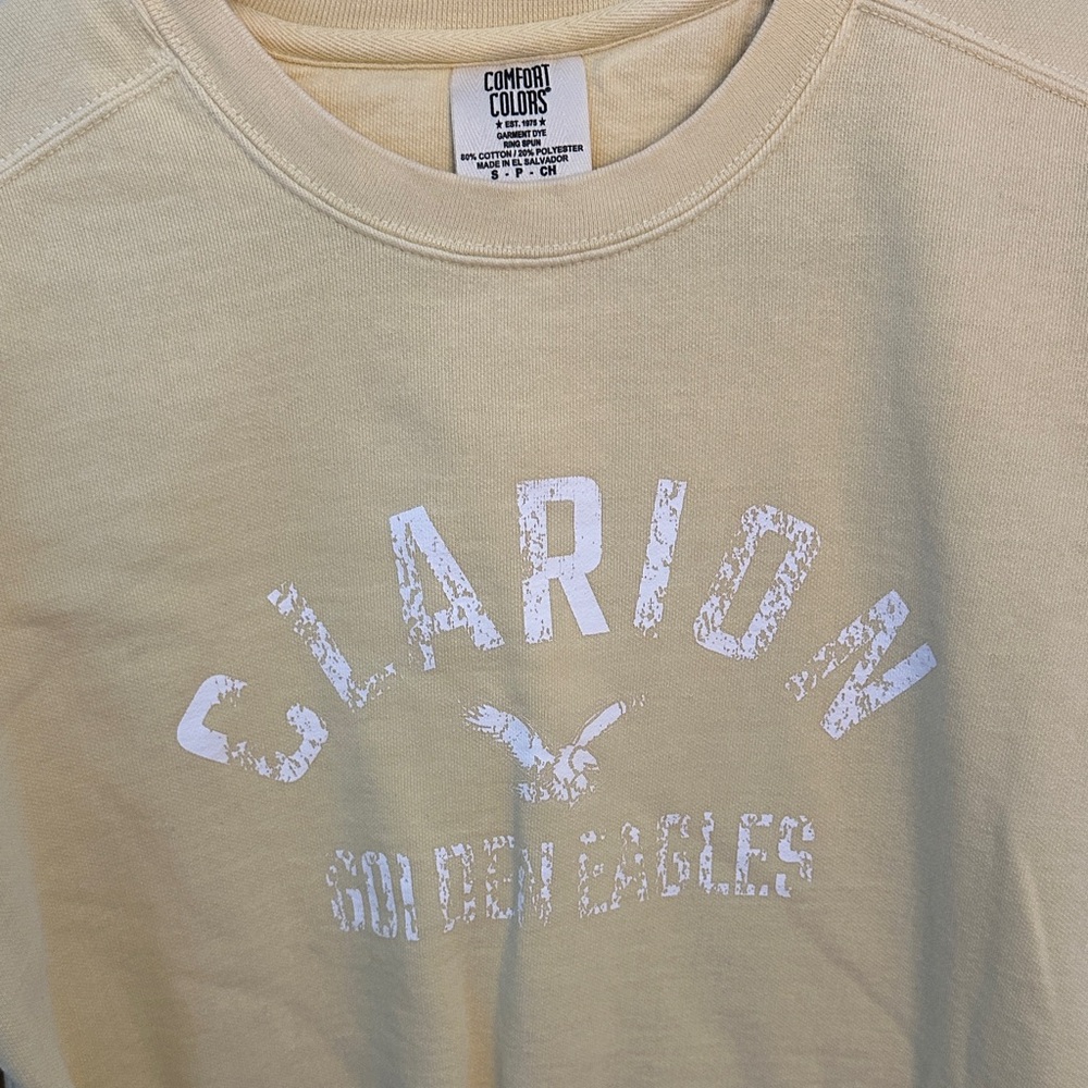 Comfort Colors Clarion Graphic Tee in Cream